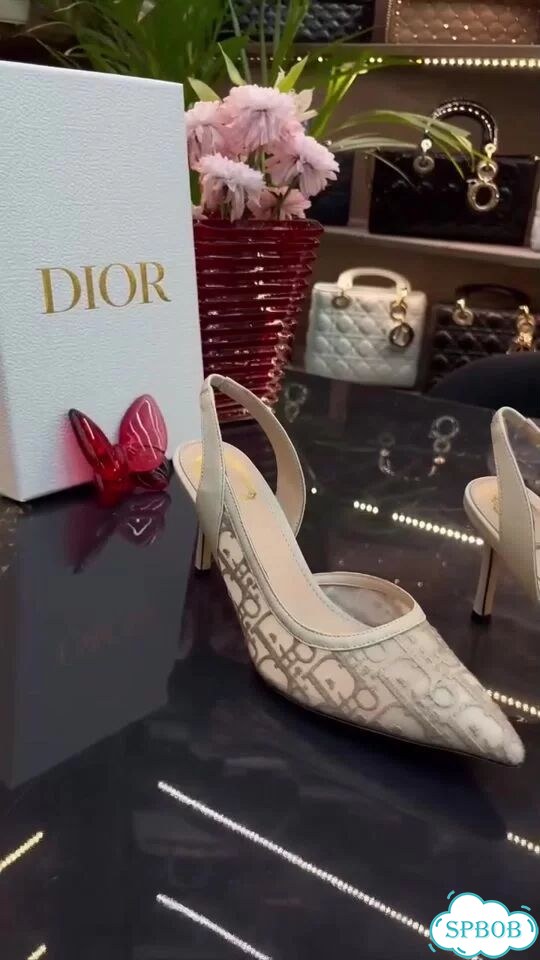 Женские туфли Christian Dior Adiorable Slingback фото 1