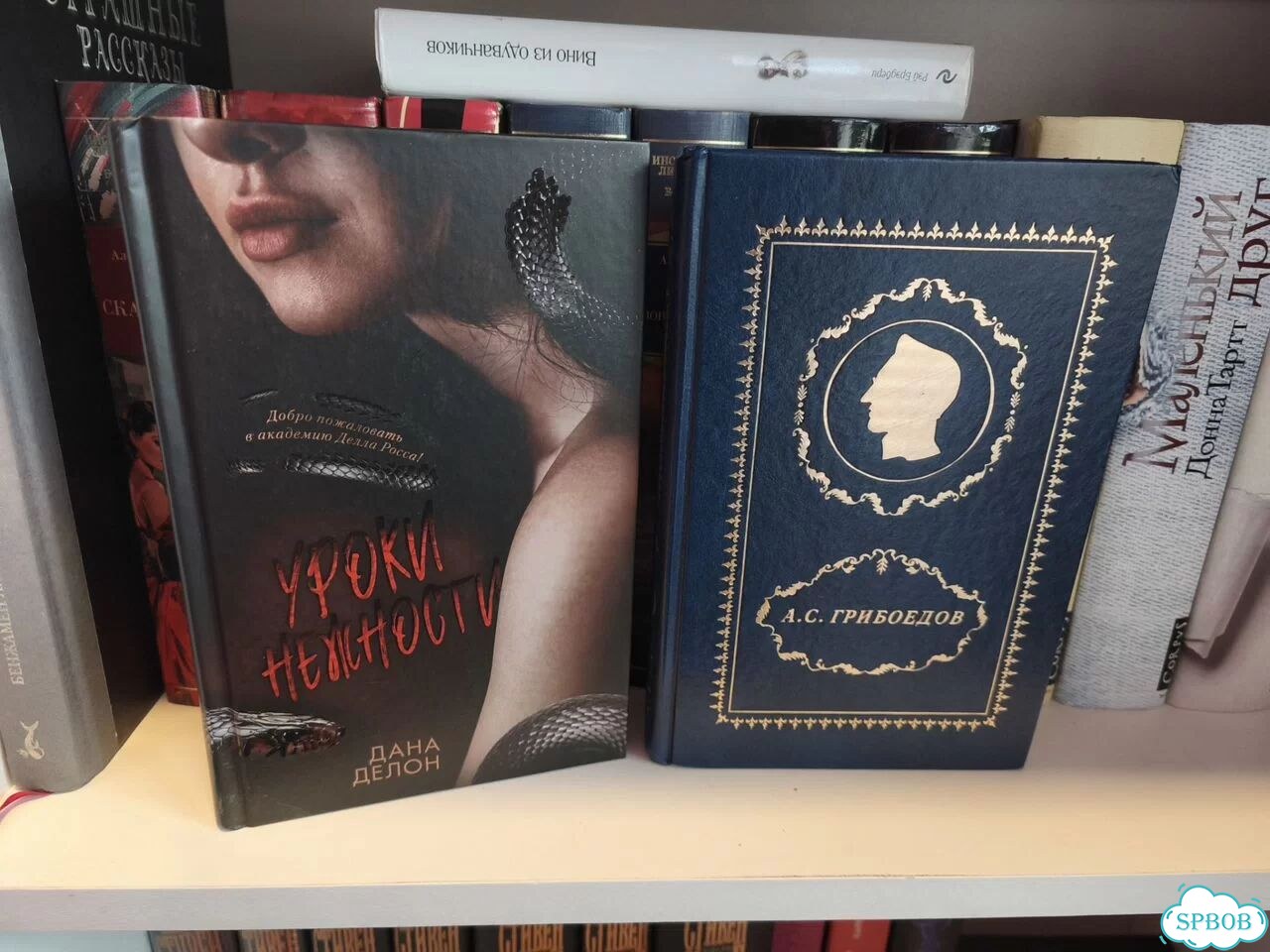 Книги фото 7