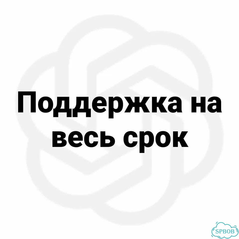 Chat GPT Plus 5.5 (1 месяц) фото 2