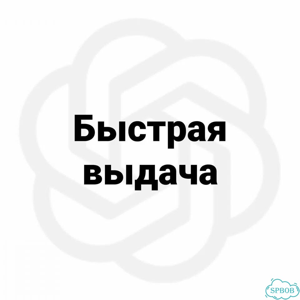Chat GPT Plus 5.5 (1 месяц) фото 5