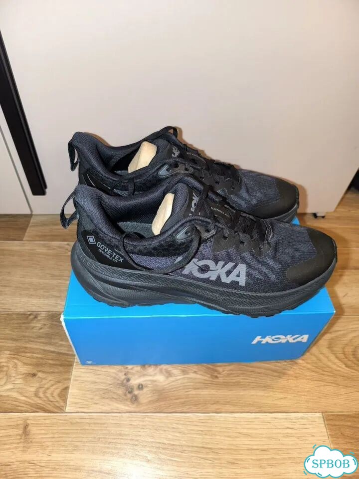 Кросовки hoka one one challenger atr 7 gtx фото 4