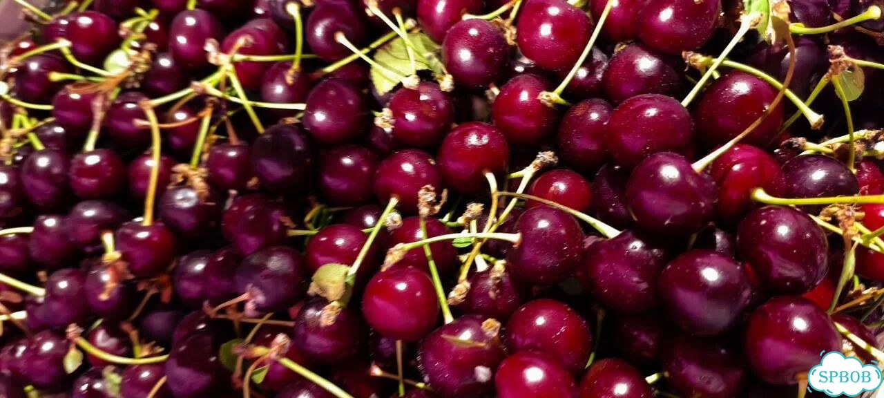 Вишня новое поступление вкусная доставка фото 3