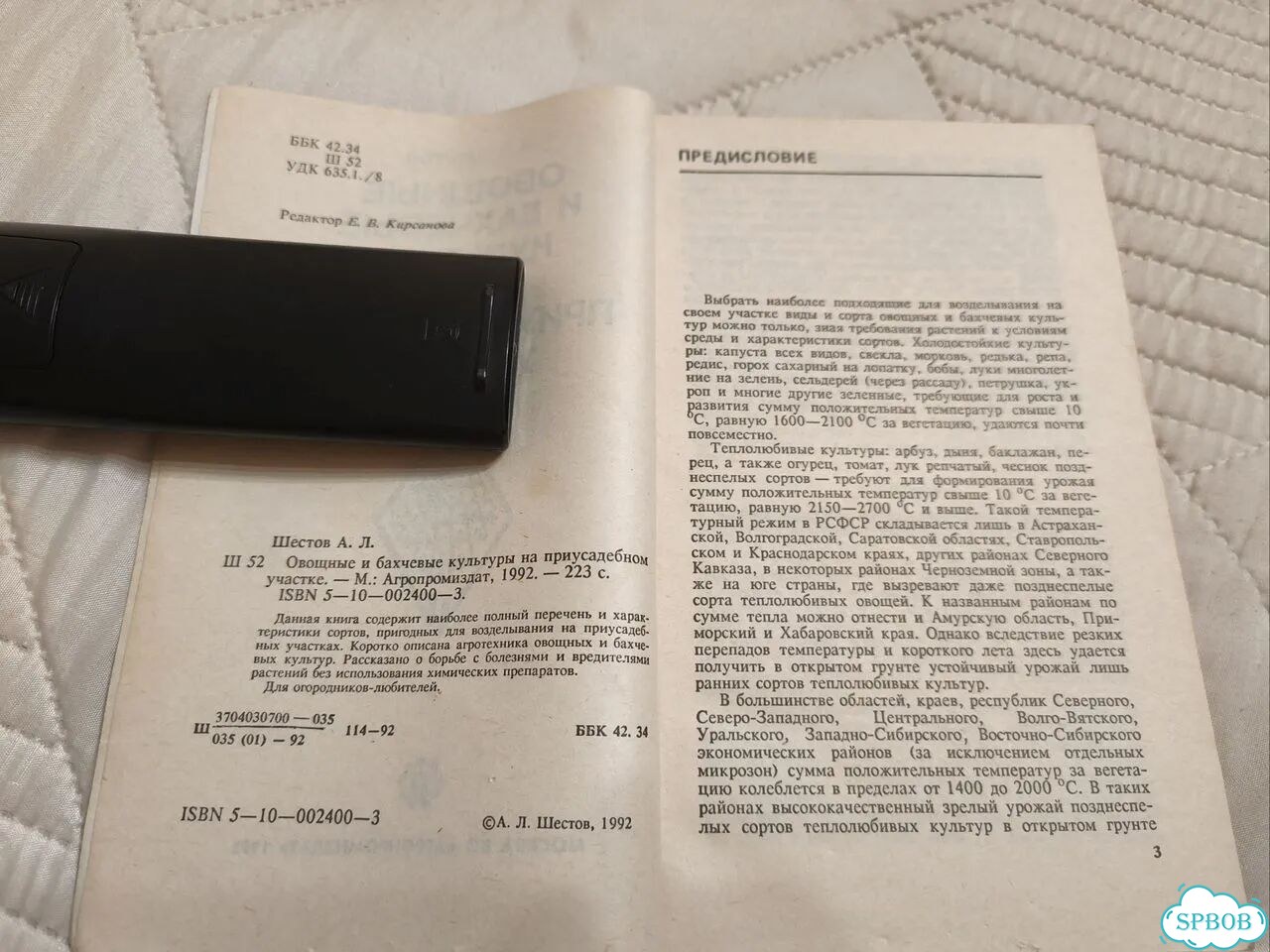 Овощные и бахчевые культуры на приусадебном участк фото 7