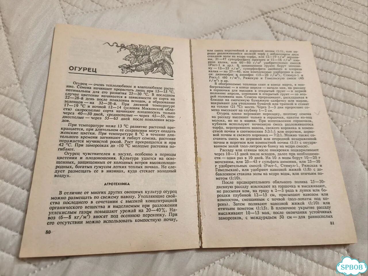 Овощные и бахчевые культуры на приусадебном участк фото 8