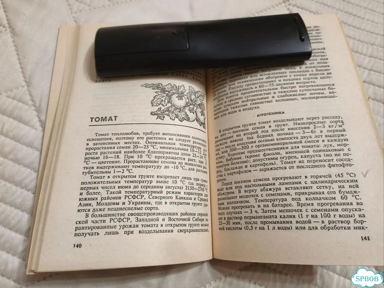Овощные и бахчевые культуры на приусадебном участк фото 9