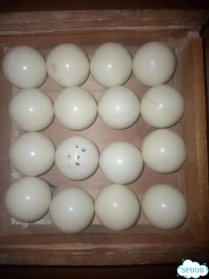 Бильярдные шары СССР фото 1