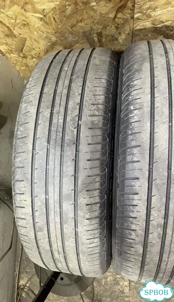 Goodyear EfficientGrip Performance SUV 225/55 R19 99T фото 4