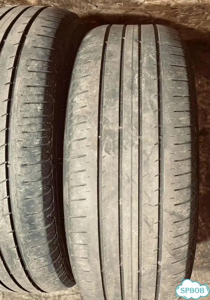 Goodyear EfficientGrip Performance SUV 225/55 R19 99T фото 5