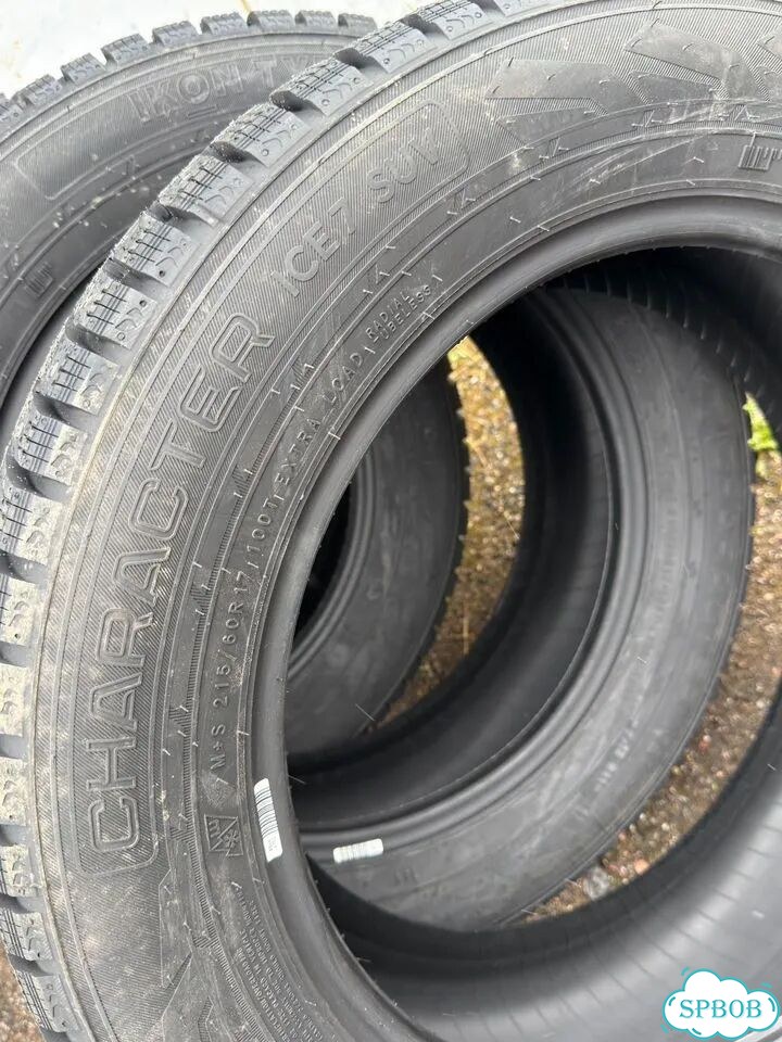 Ikon Tyres Character Ice 7 SUV 215/60 R17 100T фото 7