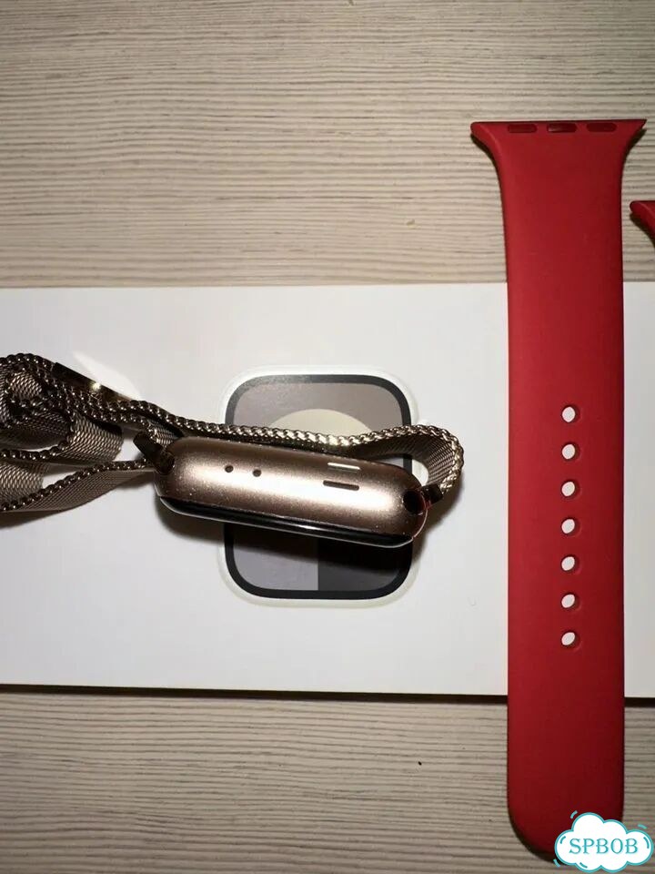 Apple Watch Series 3 (38mm) +ремешки фото 4