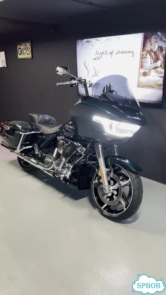 Harley-Davidson Road Glide, 2024, 4 025 км фото 1