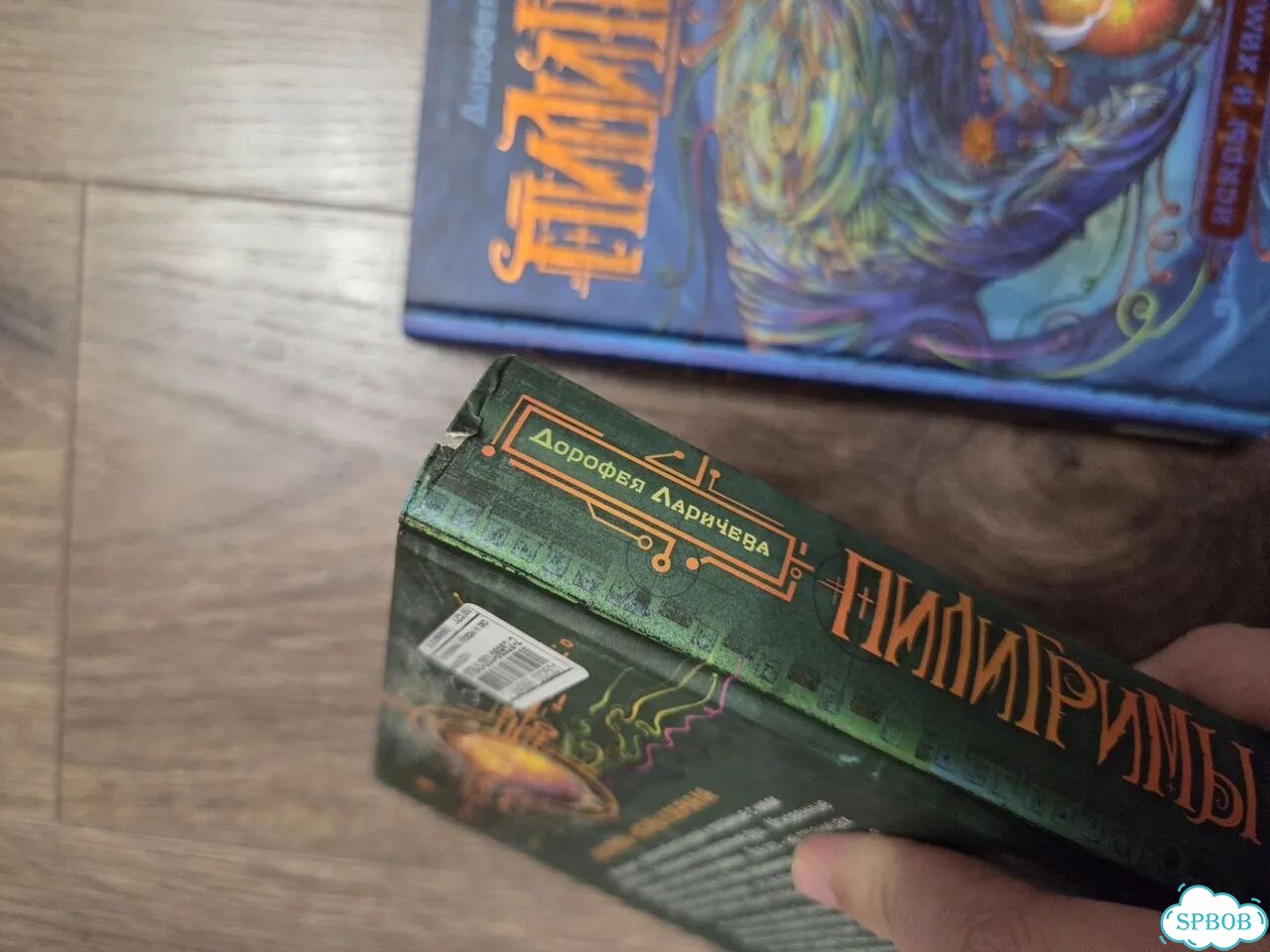 Пилигримы. Дорофея Ларичева фото 2