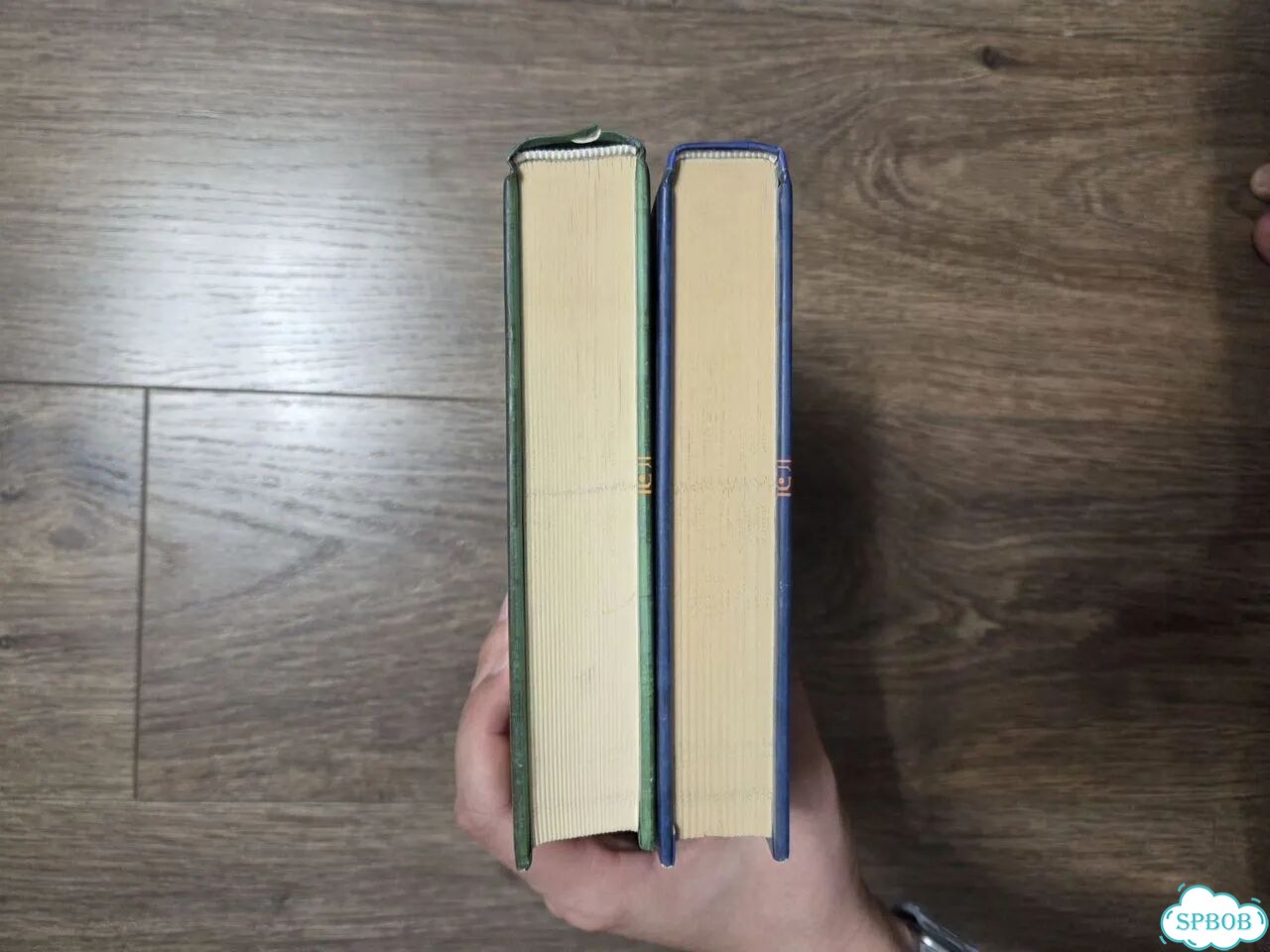 Пилигримы. Дорофея Ларичева фото 3