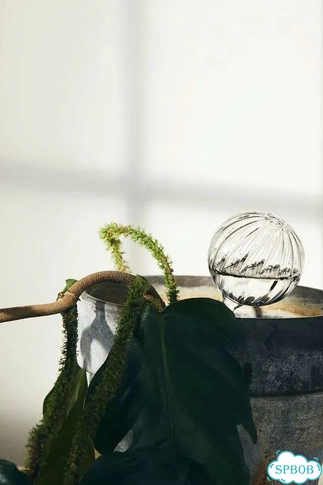 Колба для автополива H&M Home (новая) фото 1