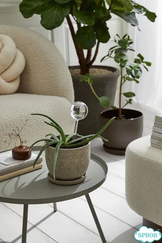 Колба для автополива H&M Home (новая) фото 2
