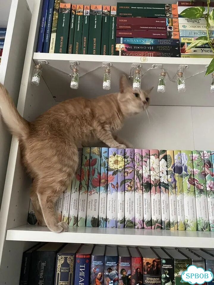 42 книги Элегантная классика фото 1