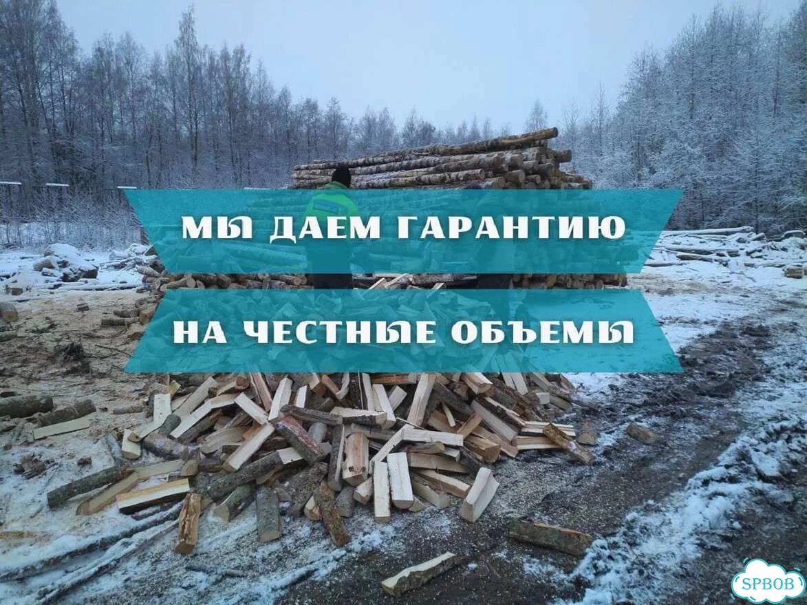 Березовые дрова фото 1