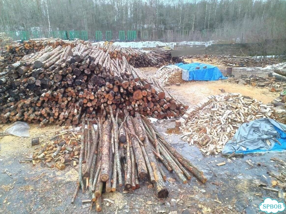 Дрова фото 6