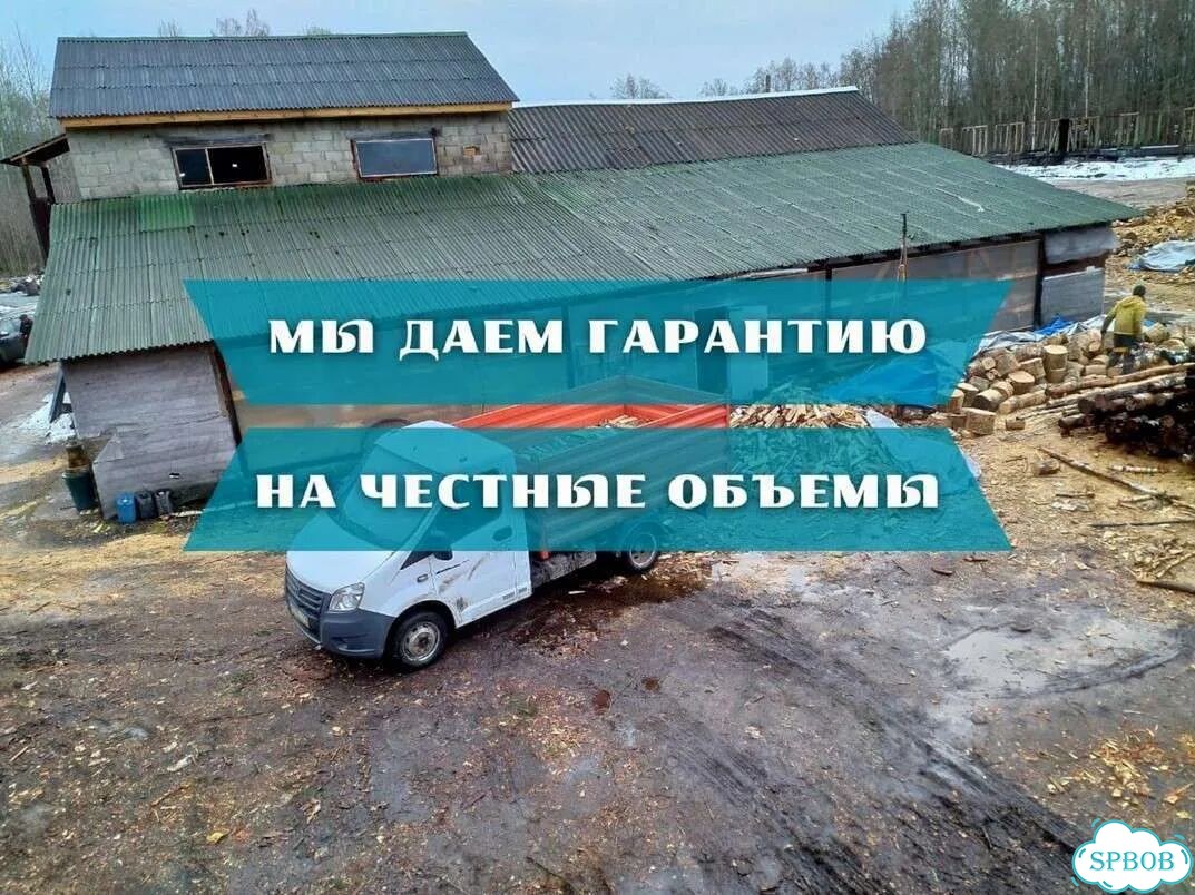 Дрова березовые фото 1