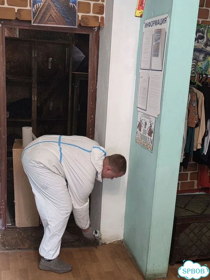 Уничтожение дезинфекция тараканов клопов блох фото 10