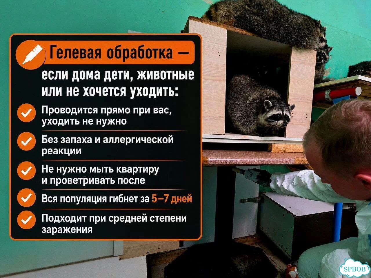 Уничтожение дезинфекция тараканов клопов блох фото 2