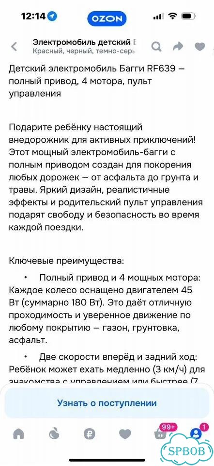 Электромобиль багги фото 5