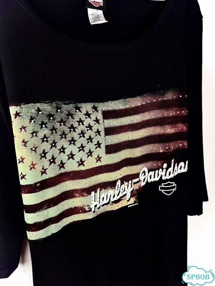 Футболка harley davidson флаг indie sleaze фото 3