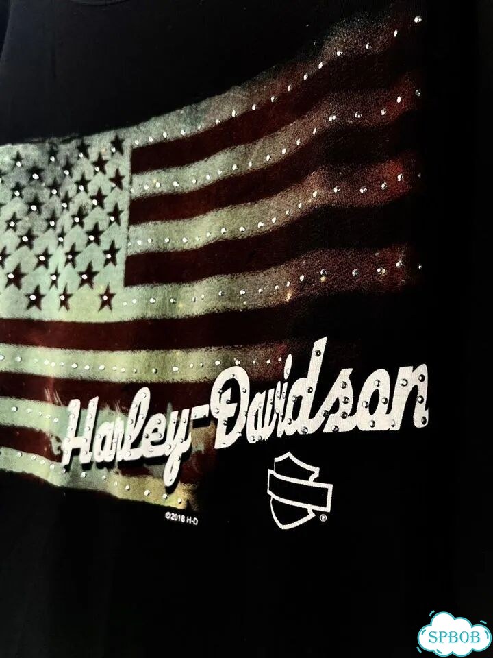 Футболка harley davidson флаг indie sleaze фото 4