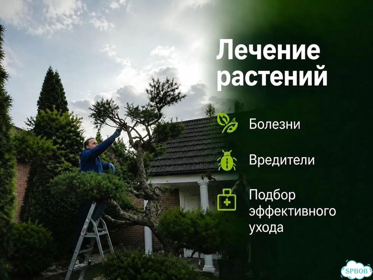 Уход за садом, газоном и цветниками фото 2