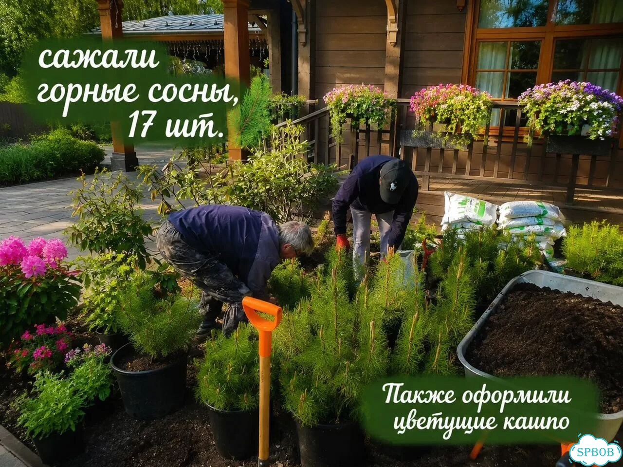 Уход за садом, газоном и цветниками фото 7