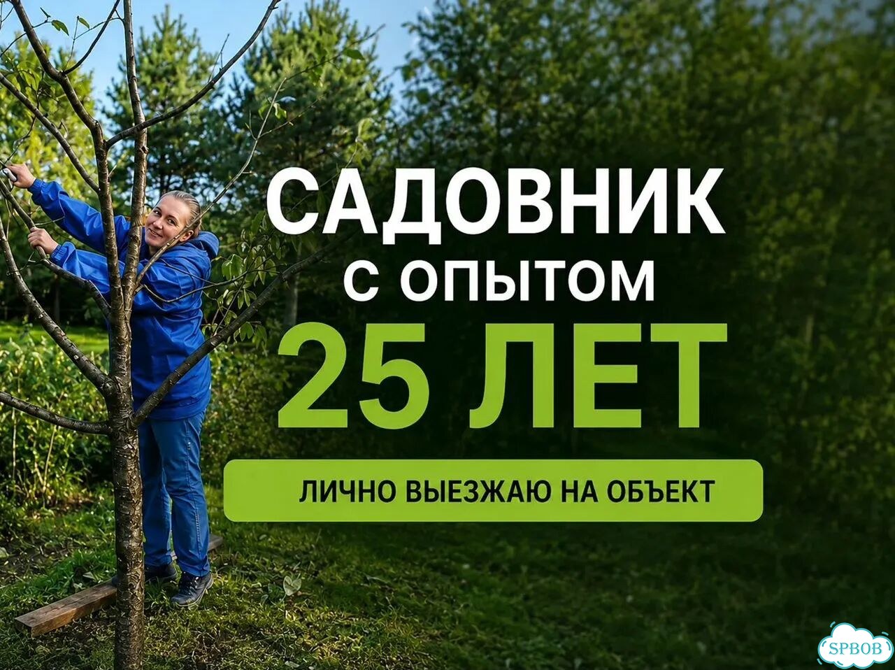 Обрезка деревьев и уход за садом фото 1
