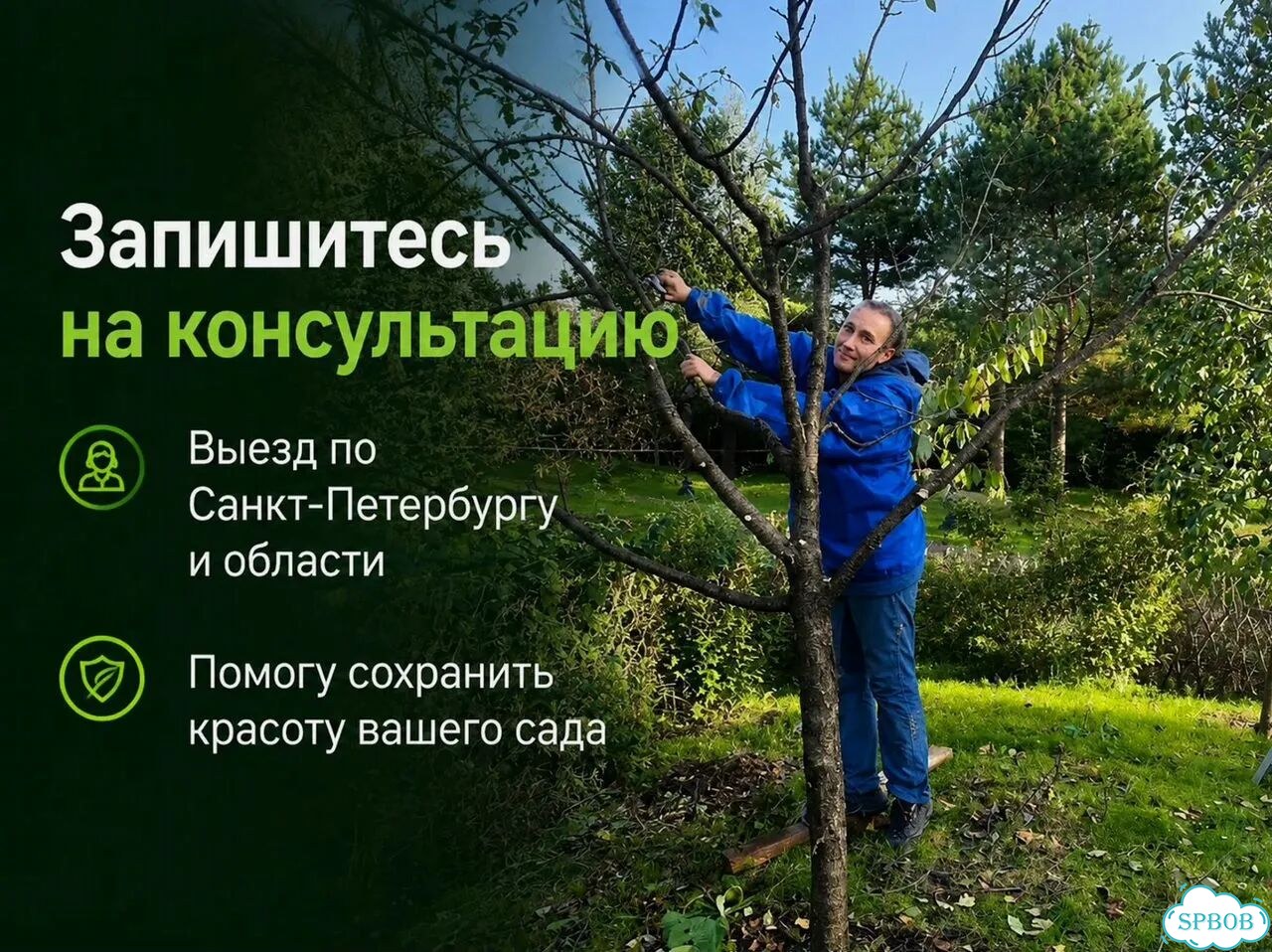 Обрезка деревьев и уход за садом фото 10