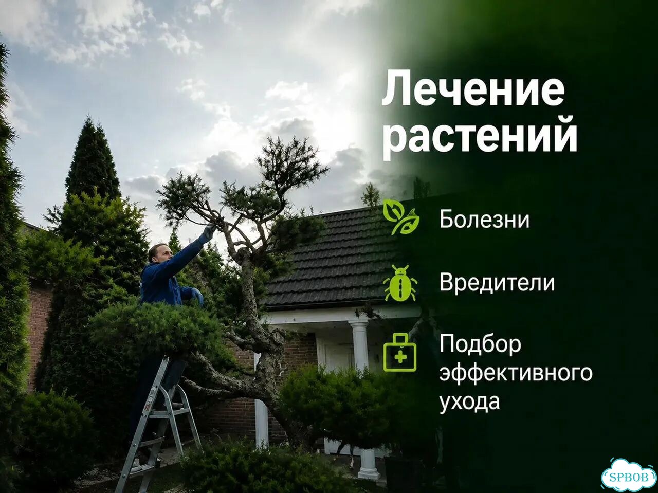 Обрезка деревьев и уход за садом фото 2