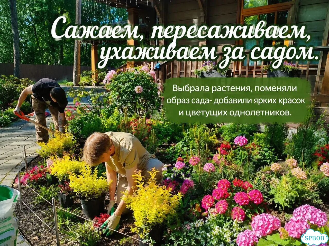Обрезка деревьев и уход за садом фото 5