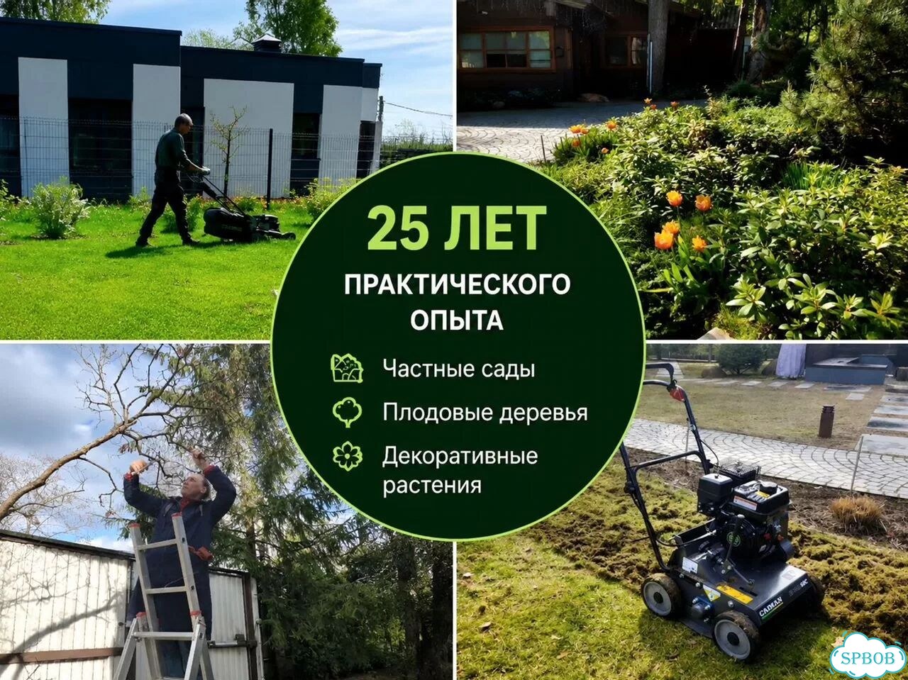 Обрезка деревьев и уход за садом фото 9