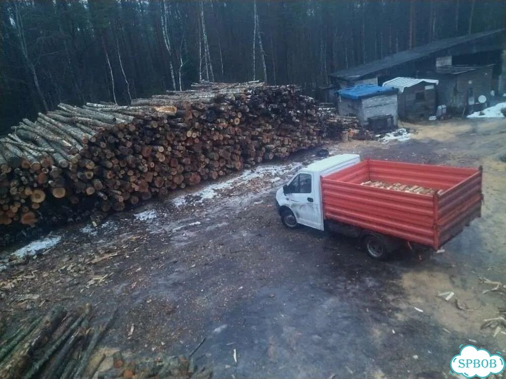Дрова фото 1