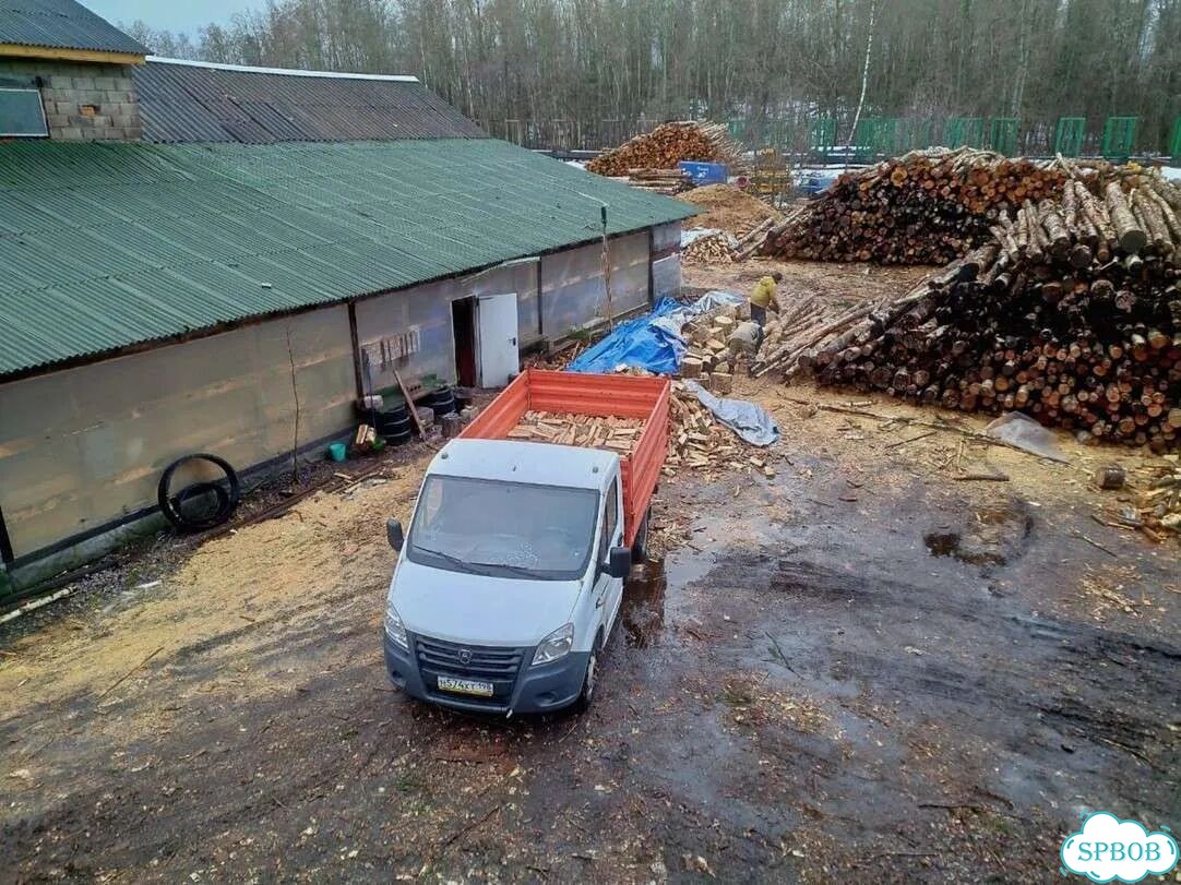 Дрова березовые фото 6