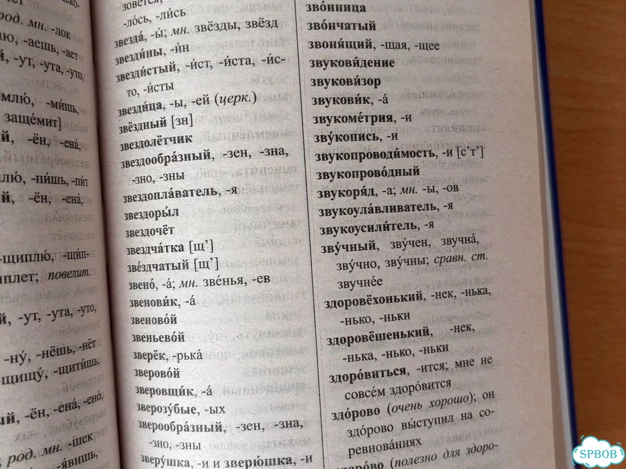 Большой орфоэпический словарь русского языка фото 4