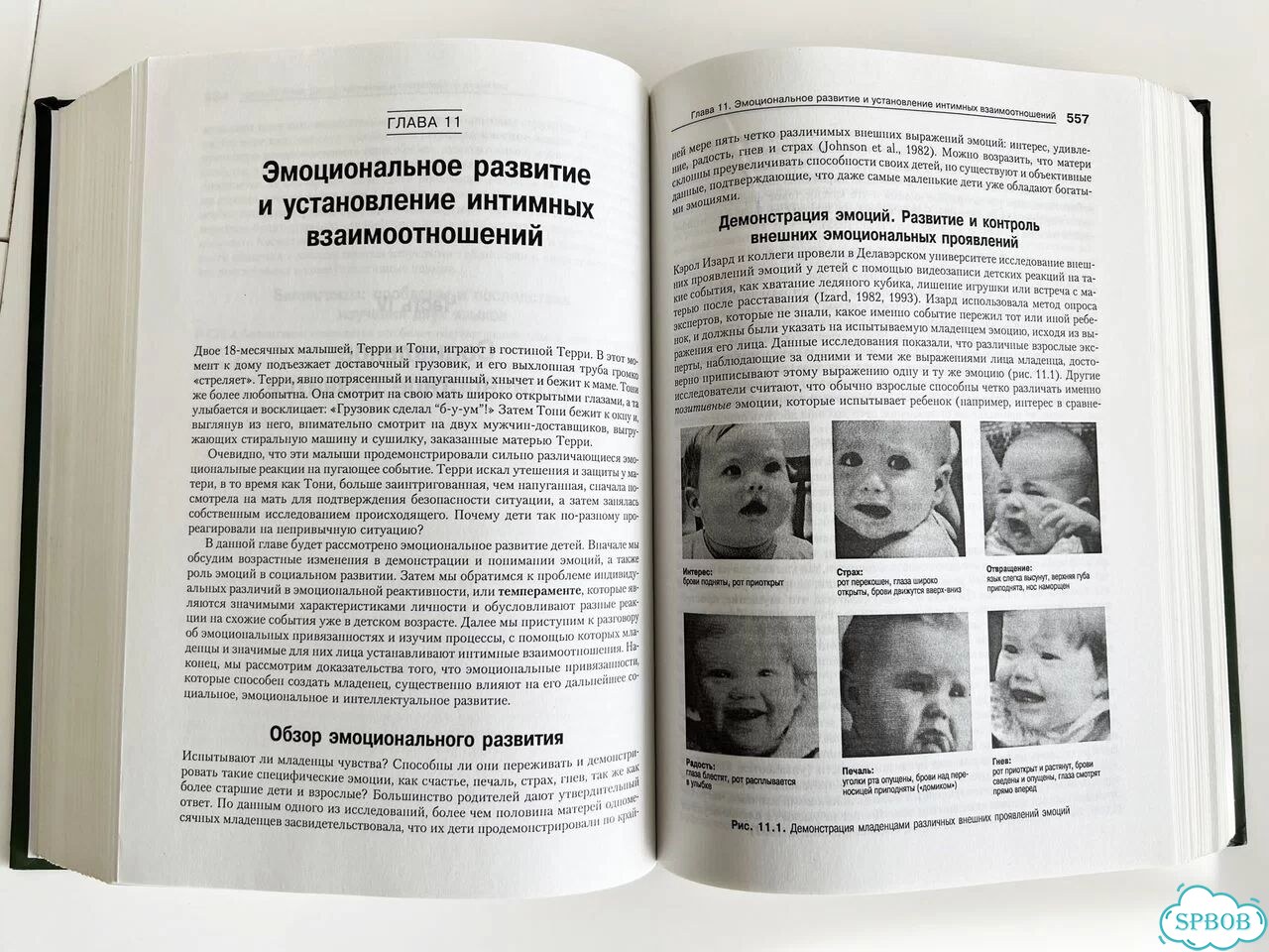 Дети и подростки. Психология развития Шэффер Дэвид фото 6