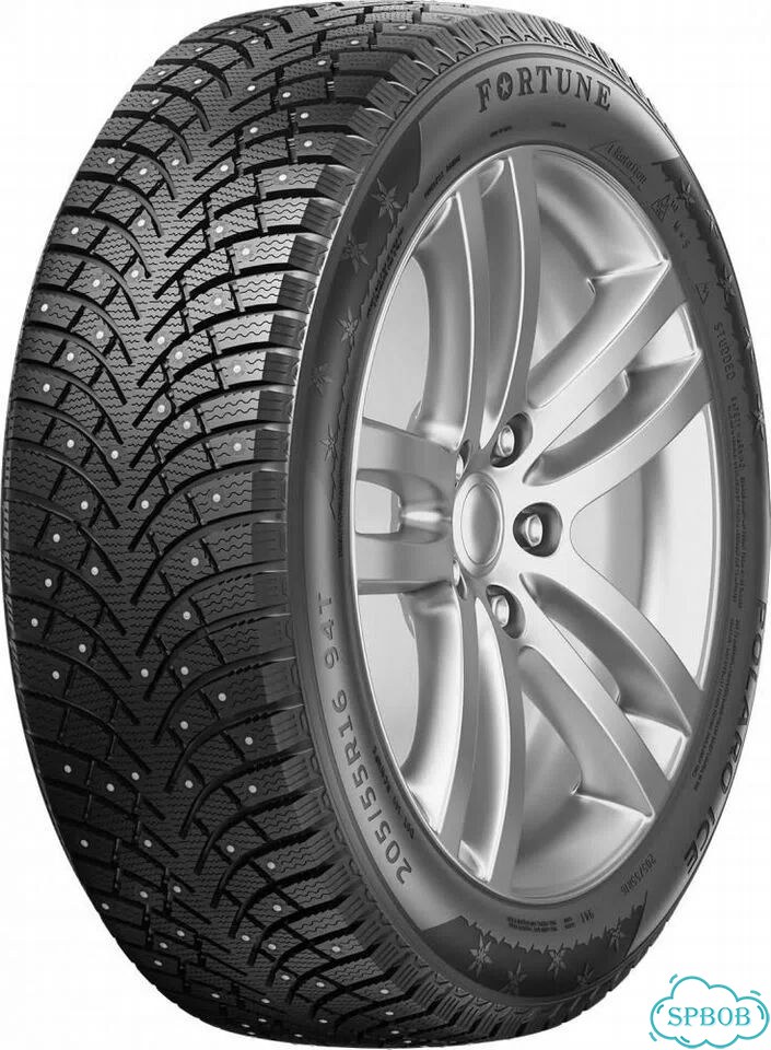 Fortune Polaro Ice 225/55 R19 103T фото 1