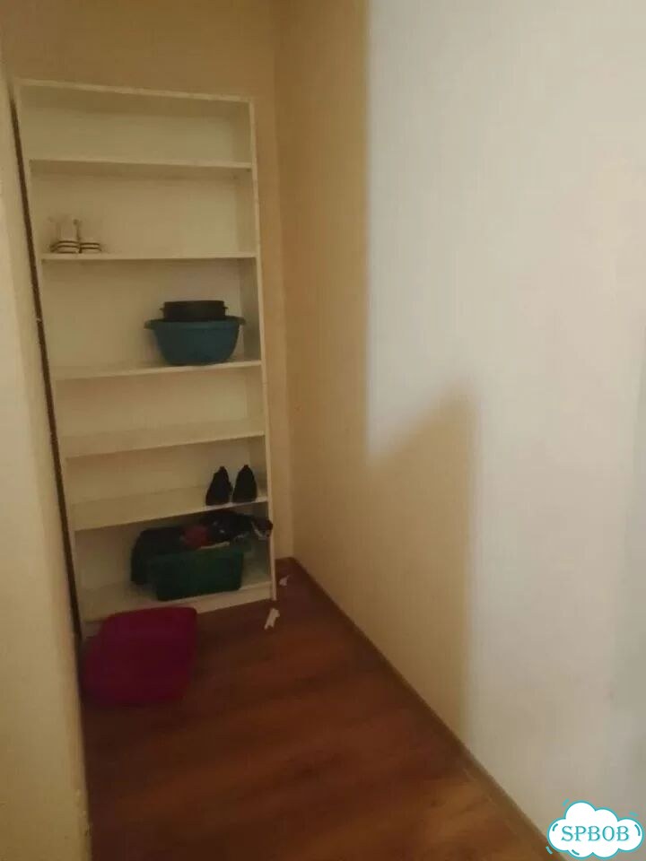 Квартира-студия, 29,5 м², 16/17 эт. фото 1
