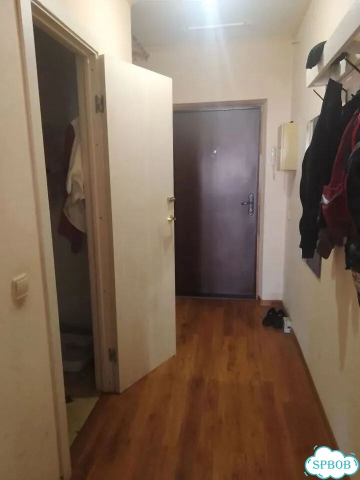 Квартира-студия, 29,5 м², 16/17 эт. фото 5