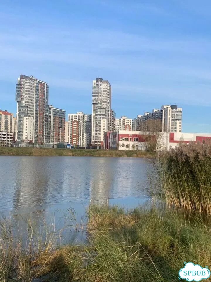 3-к. квартира, 94,3 м², 2/17 эт. фото 2