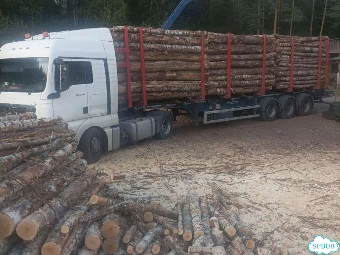 Березовые дрова фото 1