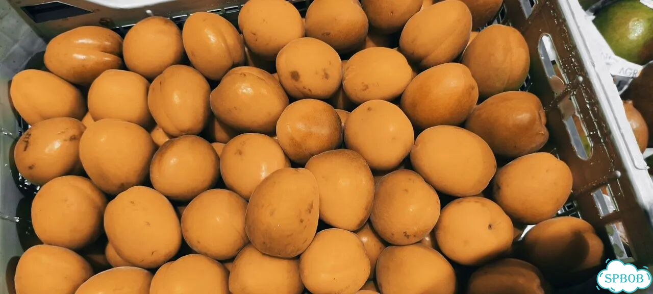 Абрикосы медовые супер вкусные из Узбекистана фото 2
