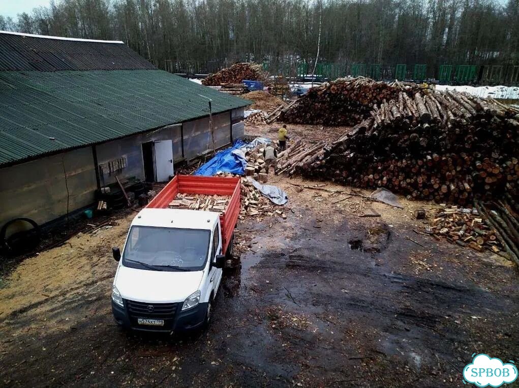 Дрова березовые фото 5