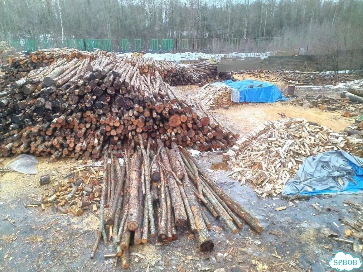 Дрова березовые фото 6