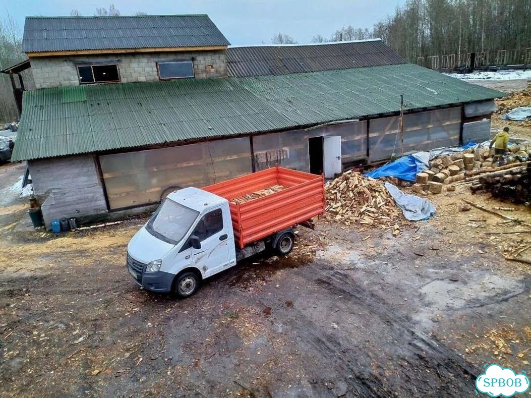 Березовые дрова фото 1