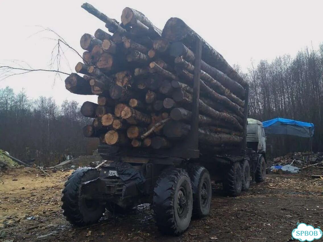 Дрова березовые. Безнал фото 3