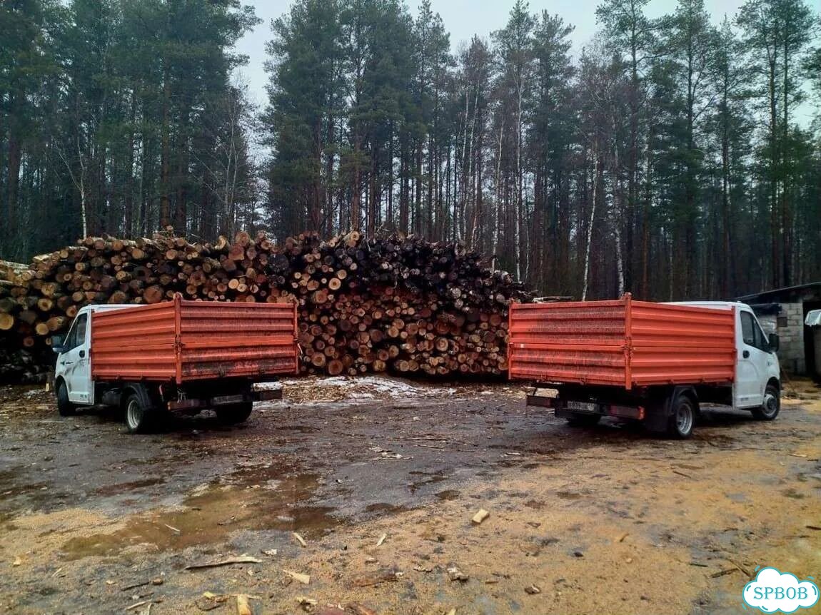 Дрова колотые березовые фото 7